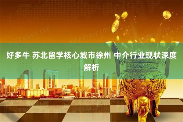 好多牛 苏北留学核心城市徐州 中介行业现状深度解析